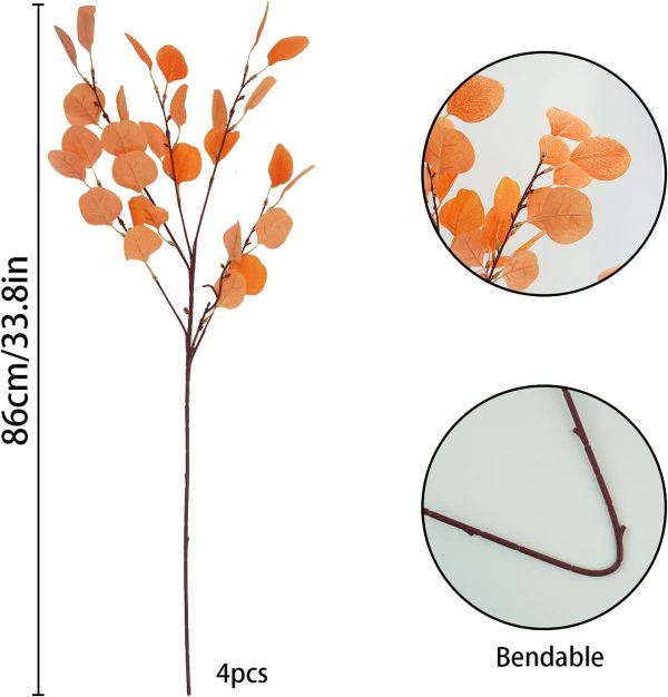 Eucalyptus Leaf Stems - Image 34