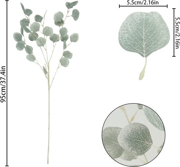 Eucalyptus Leaf Stems - Image 48