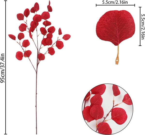 Eucalyptus Leaf Stems - Image 6