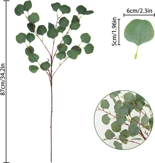 Eucalyptus Leaf Stems - Image 41