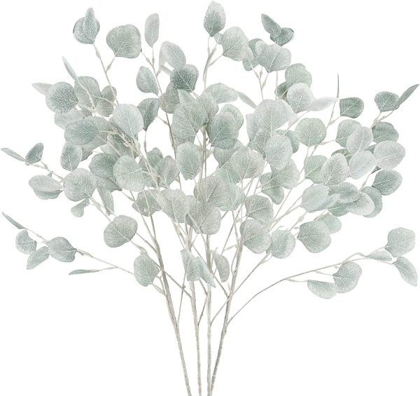 Eucalyptus Leaf Stems - Image 42