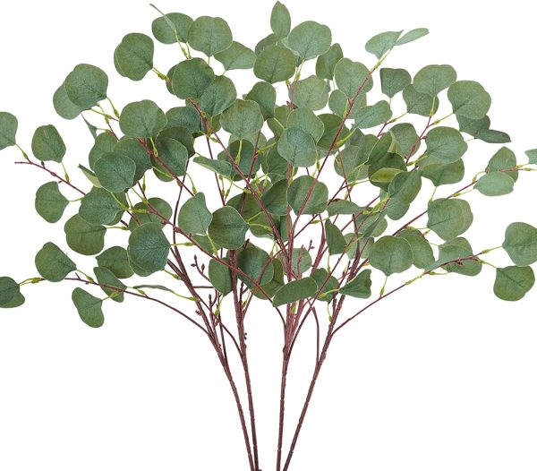 Eucalyptus Leaf Stems - Image 35