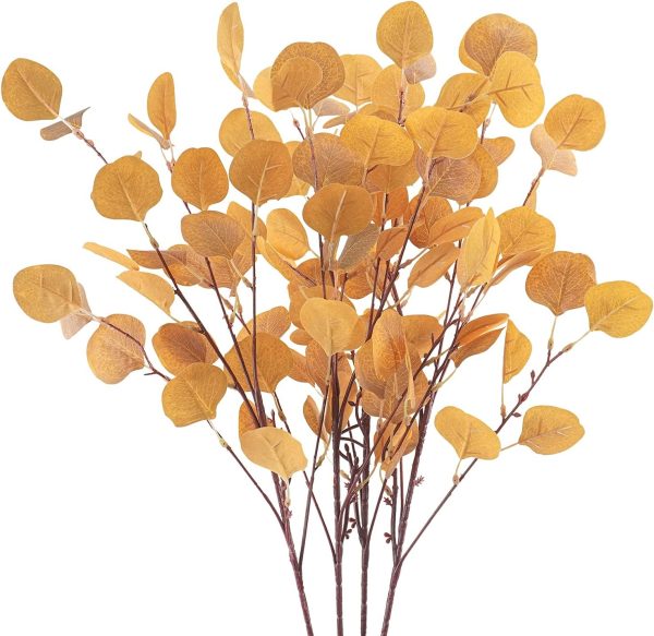 Eucalyptus Leaf Stems