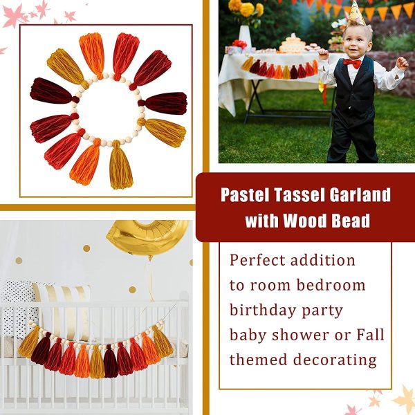 Boho Colorful Tassel Garland with Wood Beads - Image 3