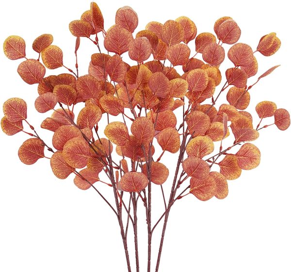 Eucalyptus Leaf Stems - Image 14
