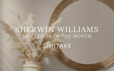 May Paint Color of the Month | Sherwin-Williams Shiitake