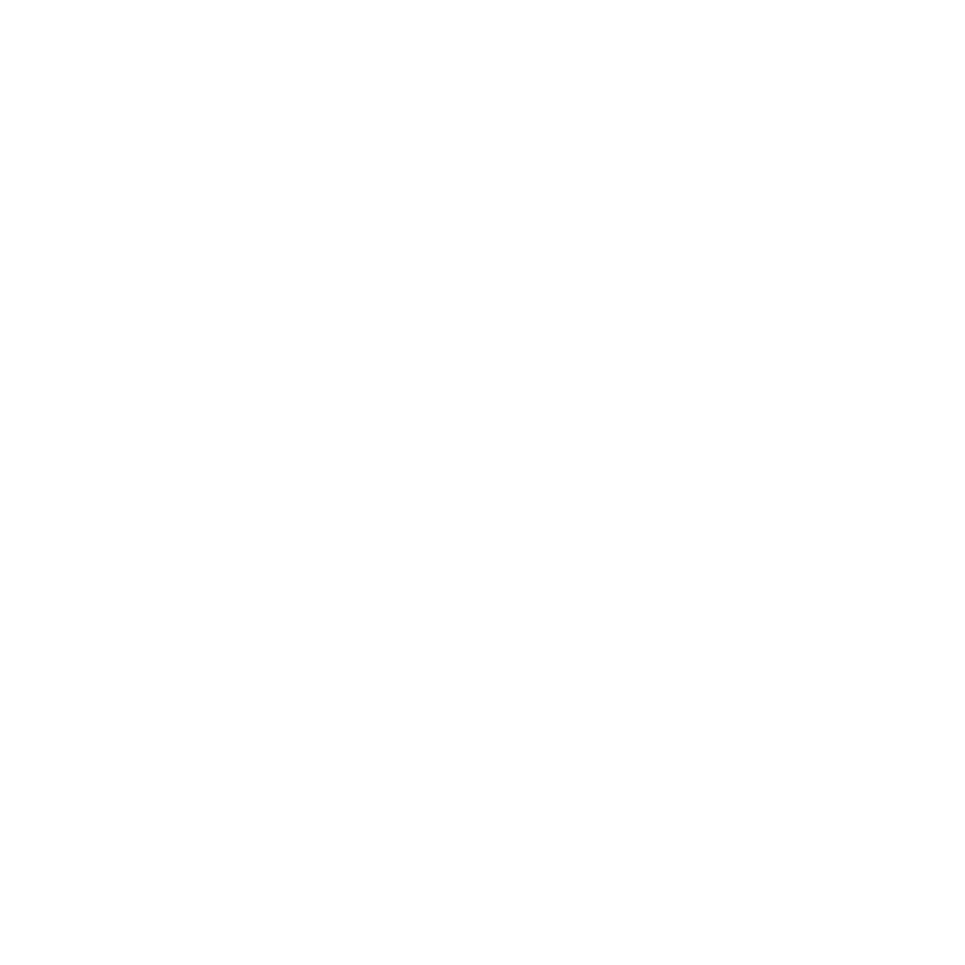 Design Selections Icon