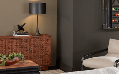 November Paint Color of the Month | Sealskin by Sherwin-Williams